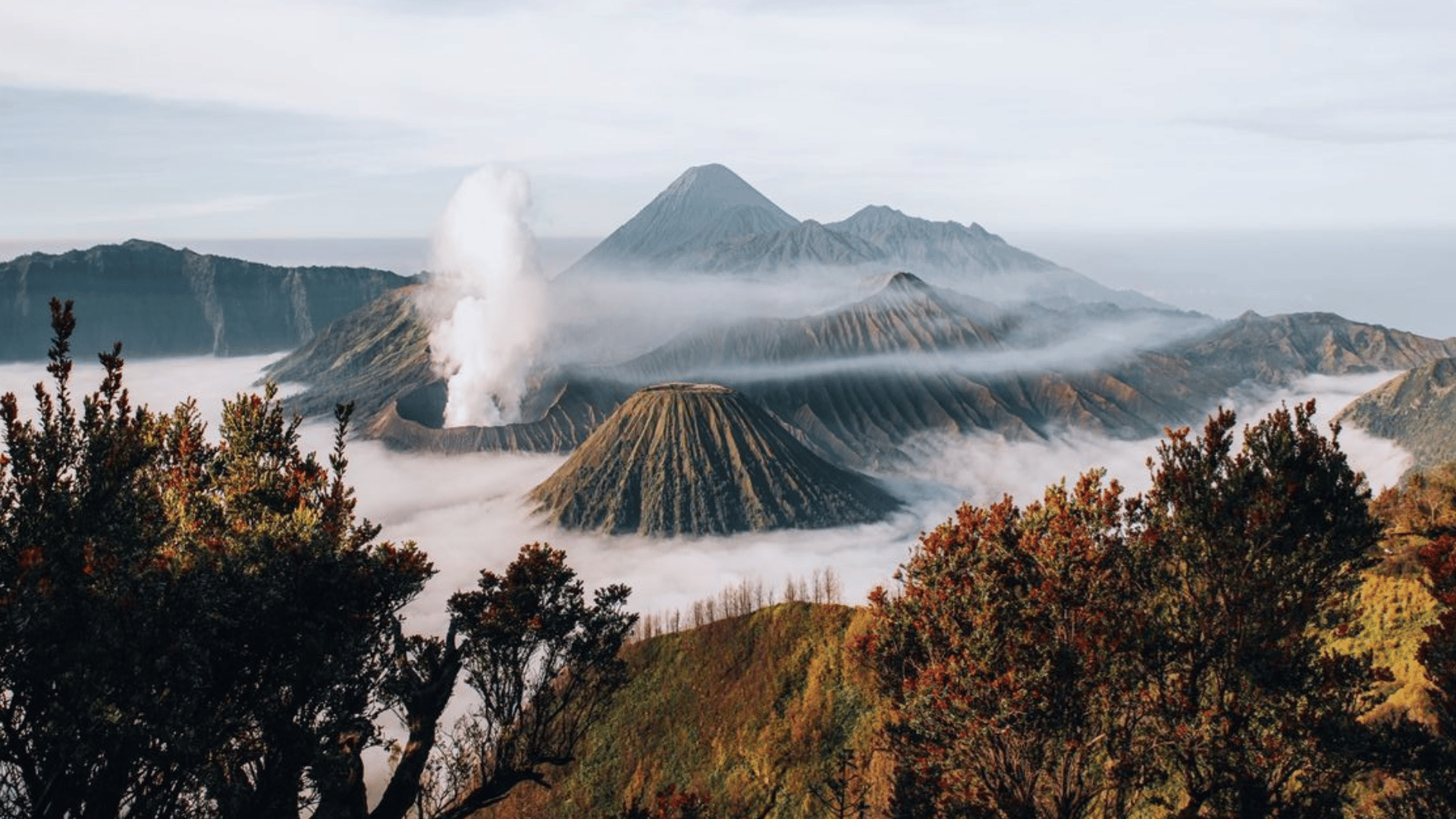 bromo